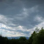Sharka -šárka Justrová
