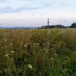 Sharka -šárka Justrová *