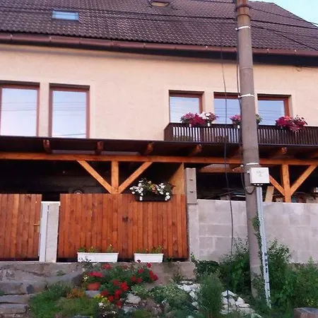 Sharka -sarka Justrova