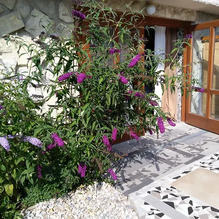 Apartmany Sharka -Sarka Justrova * Decin