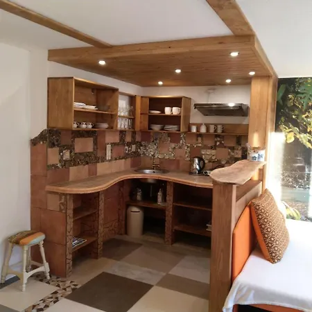 Sharka -sarka Justrova * ジェチーン