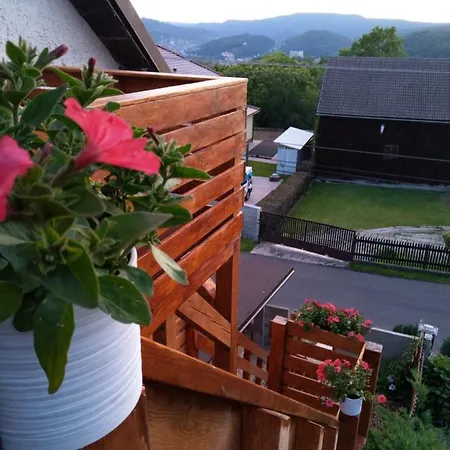 Sharka -sarka Justrova Decin