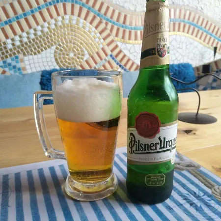 Sharka -sarka Justrova アパート ジェチーン