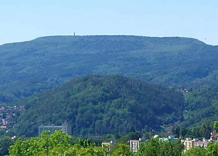 Sharka -šárka Justrová Decin